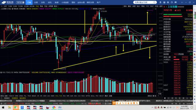 棉花期货和橡胶期货