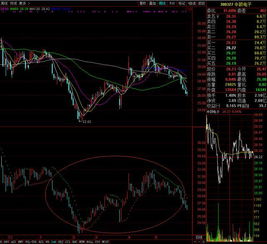 哪个股票软件有sar功能(图6)