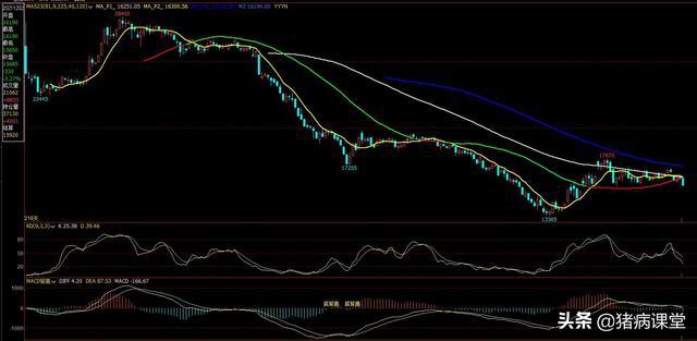 期货大跳水,现货企稳,生猪价格走势迷茫(图4) 期货大跳水,现货企稳,生猪价格走势迷茫(图4)
