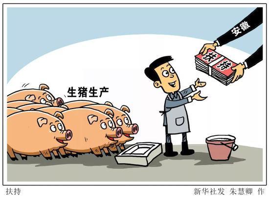 2021年生猪市场现状及相关金融产品支持(图3) 2021年生猪市场现状及相关金融产品支持(图3)