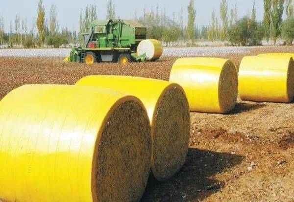 2022年棉价会达到10元吗？(图1)