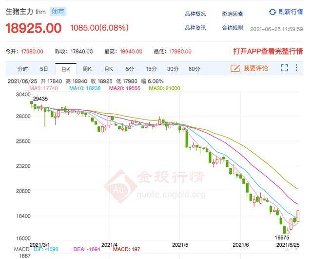 猪肉价格暴跌，引发牧原新希望等养猪股暴跌，抄底正当时(图2)