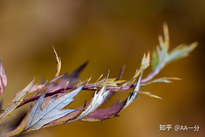 想做期货,请问国内可靠的期货交易平台有哪些?(图1) 想做期货,请问国内可靠的期货交易平台有哪些?(图1)