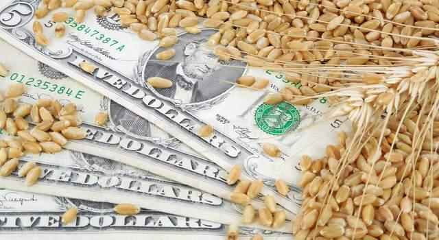 国际小麦突然“变脸”!这么快就涨不动了?(图1) 国际小麦突然“变脸”!这么快就涨不动了?(图1)