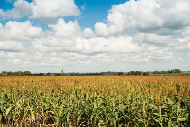 期货交易应有的八个心态(图1)